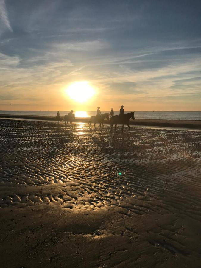 فندق Etoile Aan Zee فراويندبولدار المظهر الخارجي الصورة
